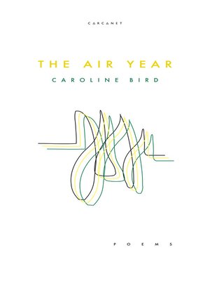 The Air Year - ebook